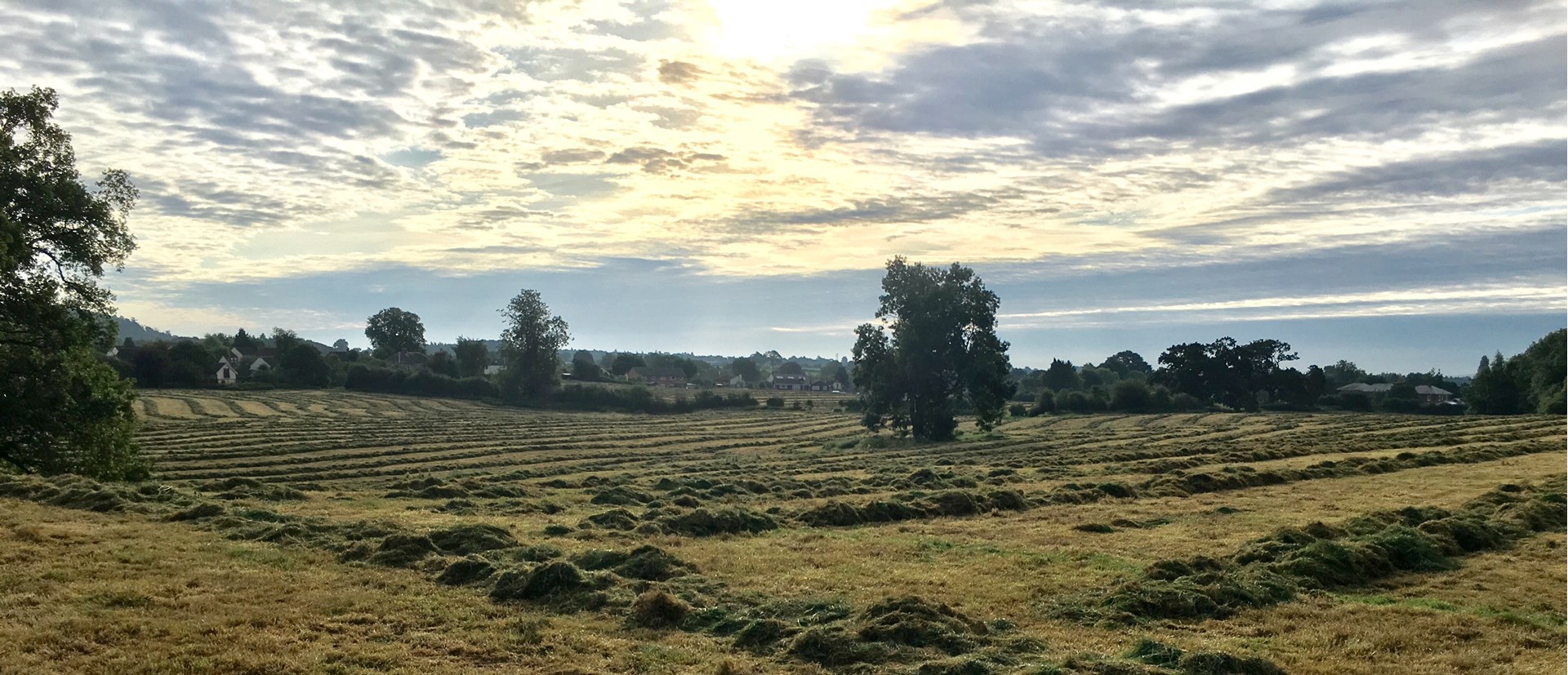 Fields Near Bomere Heath