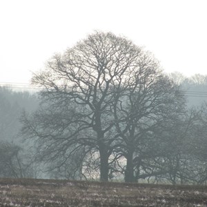 FACE-IT Image gallery