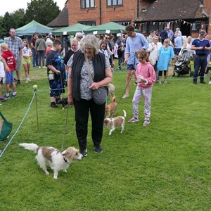 Goodworth Clatford Parish Council Village Fete/Garden Show