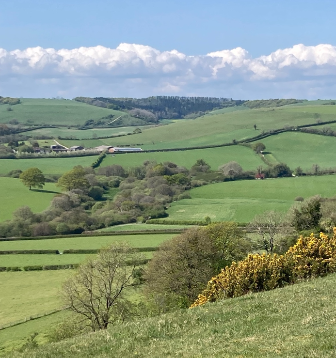 Sydling St Nicholas History Society The Lost Medieval Hamlet of Elston