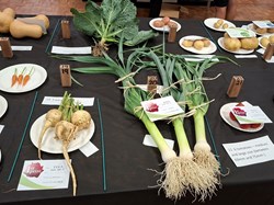 Sutton Valence Gardeners Association The Annual Shows