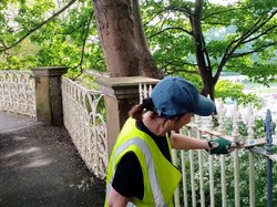 The Friends of Scarborough Valley Gardens Home