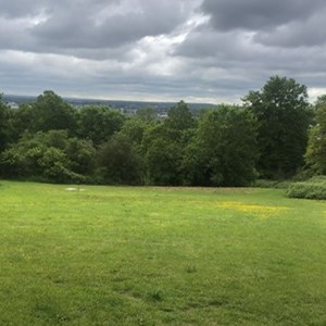 Hoo St Werburgh and Chattenden Parish Council Hoo Common