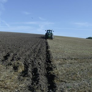 Ploughing in Bucknell's Field - Nicky Street