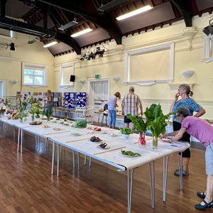 Mickleham and Westhumble Horticultural Society Show July 2026