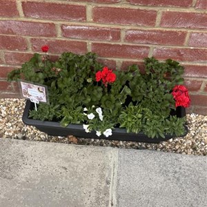 West Moors Bowls Club Outdoor Season 2025