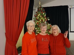 Martinstown Village Hall Martinstown WI