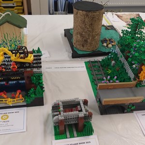 Local feature constructed of Lego