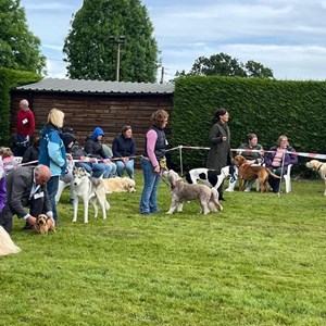 Whixall Social Centre Whixall Companion Dog Show 2024