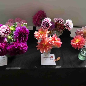 Goodworth Clatford Parish Council  Fete 2026 photos