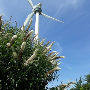 The beautiful turbine in the centre's garden. One of the first ones in the world visitors can climb up and use the viewing platform. On a clear day the view extends for miles.