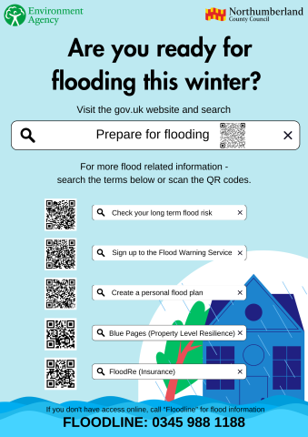 Brinkburn & Hesleyhurst Community