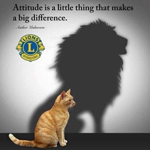 Lions Club of Nantwich Photo Gallery