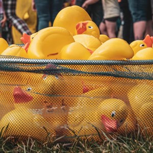 Louth & District Lions Duck Race
