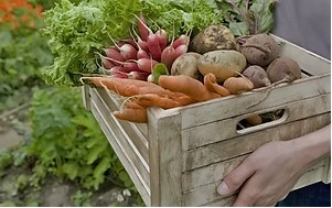 Allotments