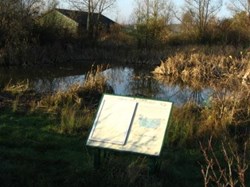 Image of Frog Island Pond