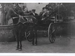 Mr and Mrs Baldwin (Licensee) in pony and trap outside The Royal Oak, 1910-1919? Arthur Baldwin was listed as licencee in 1915, 1920, 1924, 1928, 1931 (Kellys)