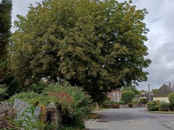Sydling St Nicholas Parish Council Home