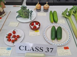 Bucklebury and Marlston Horticultural Society Summer Show 2026