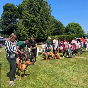 Whixall Social Centre Whixall Dog Show 2023 Report and Phots