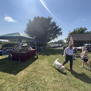 Whixall Social Centre Whixall Dog Show 2023 Report and Phots