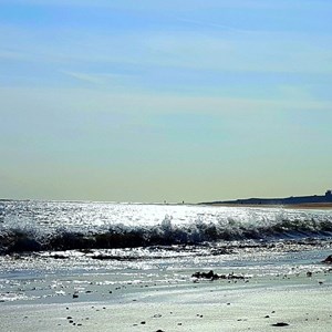 Newton by the Sea GALLERY