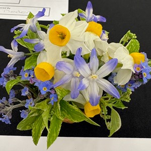 Mannings Heath & District Horticultural Society Photo Gallery