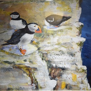'Puffins, Bempton Cliffs' Acrylic by Kevin McCarthy