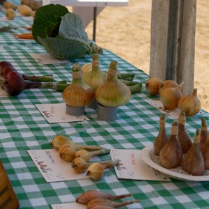HBT Horticultural Society Photographs 2026