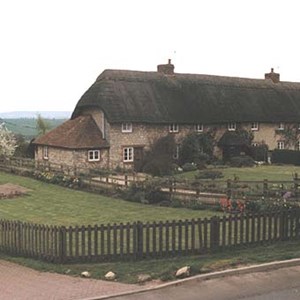 Cottages, Main Street (year unknown)