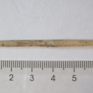 Bone pin