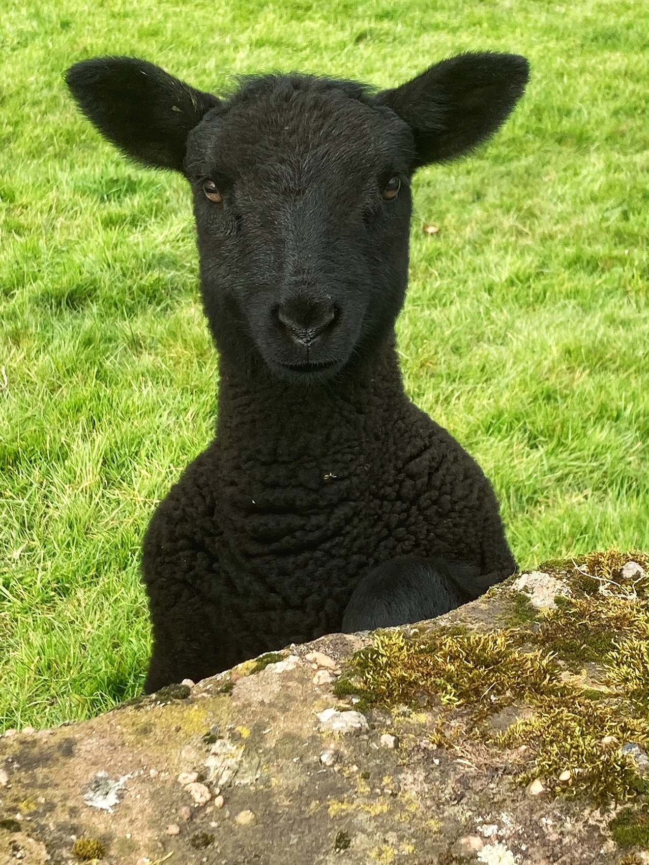 How cute.... Thank you Helen George for the image