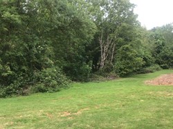 Hoo St Werburgh and Chattenden Parish Council Hoo Common