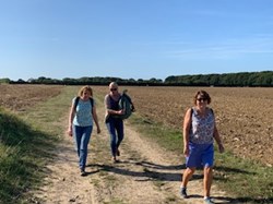 Sept walk, fields at the back of Stubbington