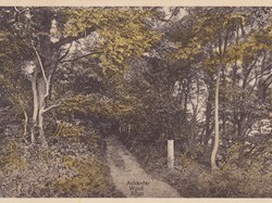 Ackender Wood c1925