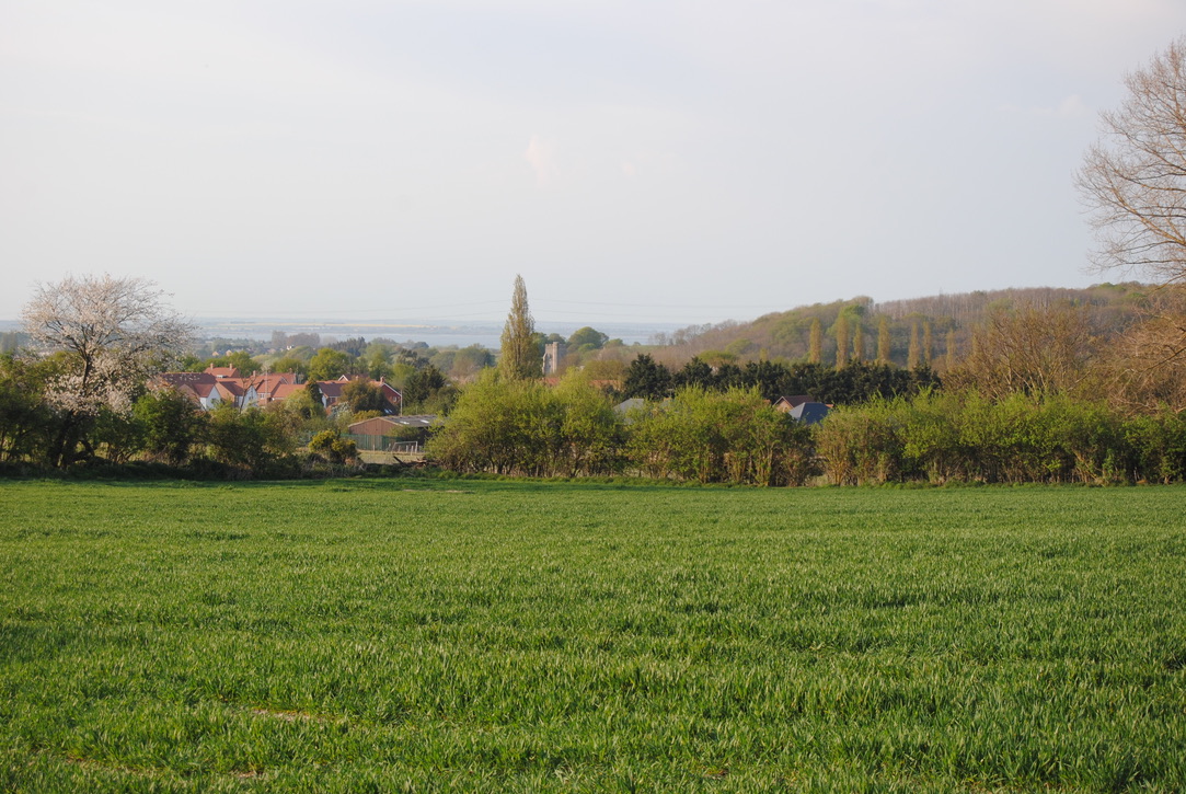 View from Public Right of Way to Cranbrook woods