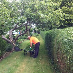 Bettisfield Village Hall Community Association Specialist Tree Solutions