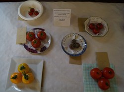 2016 Flower and Produce Show