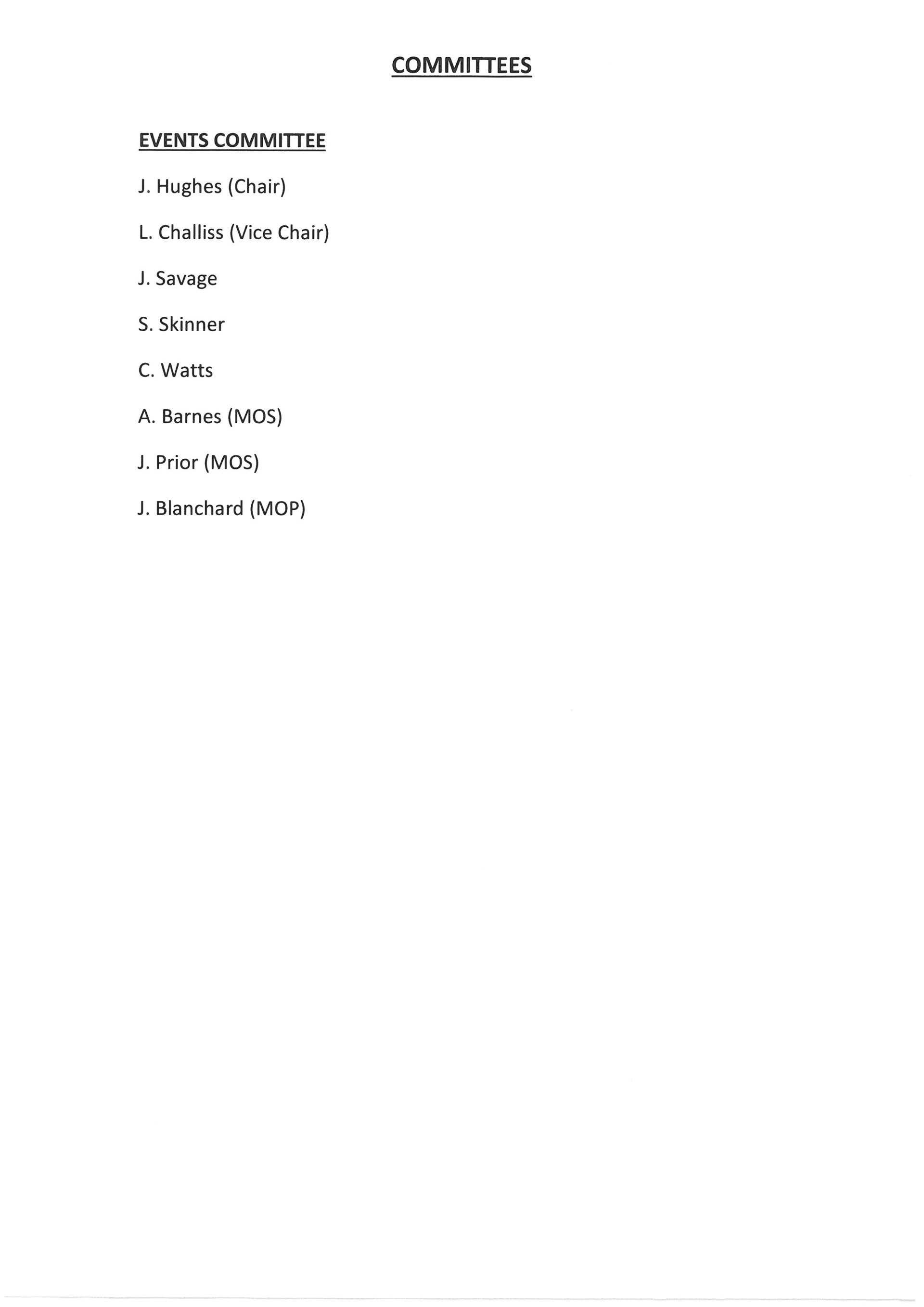 Brandon Town Council Committees