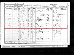 Census 1901