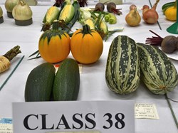 Bucklebury and Marlston Horticultural Society Autumn Show 2024