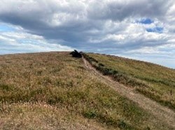 . . . before going uphill  and again along Ballard Down headland. ©EH