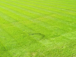 Whitstable Bowling Club Relaying new green 2024