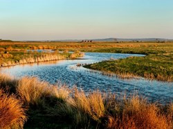 Save The Hoo Peninsula Home