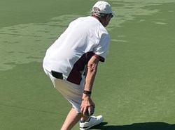 Henfield Bowling Club The Bowls