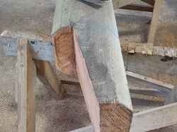 Column base infested areas cut out