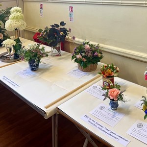 Mickleham and Westhumble Horticultural Society Show July 2026