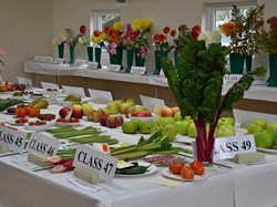 Bucklebury and Marlston Horticultural Society Autumn Show 2024