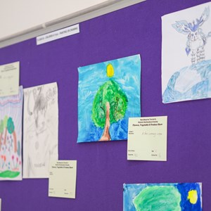 HBT Horticultural Society Photographs 2025
