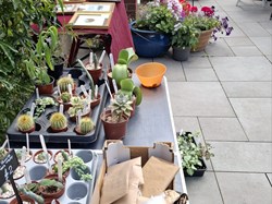 Summer garden Party 2026